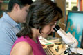 Laboratorio